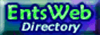 Entertainment Website